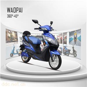  王派电动车蜂王